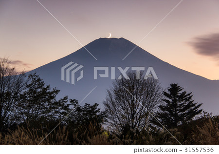 日落時從新野山村下到富士山的新月 31557536