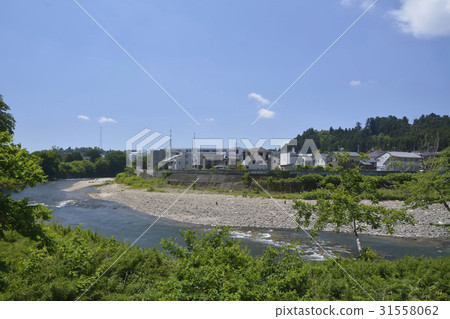 新綠色的郊區的圖像 31558062