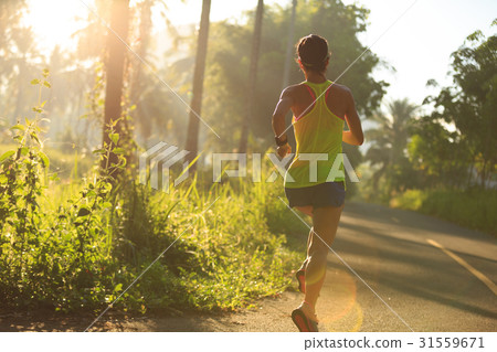 Young fitness woman running at morningforest trail Young fitness woman running at morningforest trail 31559671
