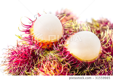 rambutan, Negrito, Semang, sweet Thai fruit rambutan, Negrito, Semang, sweet Thai fruit 31559985
