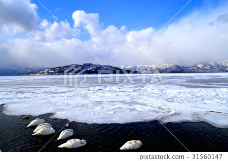 嚴寒北海道Doku Kussharo湖 31560147