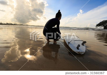 young woman surfer withsurfboard on a beach  31560367