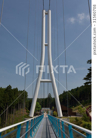 Main tower of hanging bridge and hanger cable, Mishima sky walk, Shizuoka prefecture (vertical composition) 31560708
