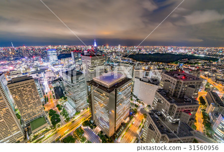 Night view of Tokyo 31560956