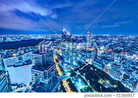Night view of Tokyo 31560957