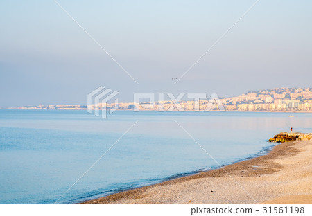 Beach view in Nice 31561198