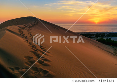 Sand dunes on Patara beach at sunset. Turkey Sand dunes on Patara beach at sunset. Turkey 31561384