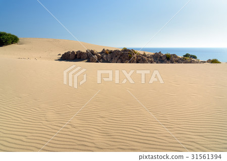 Sand dunes on Patara beach. Turkey Sand dunes on Patara beach. Turkey 31561394