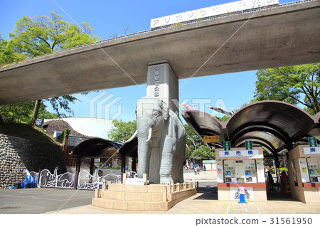 日野市多摩動物園 日野市多摩動物園 31561950