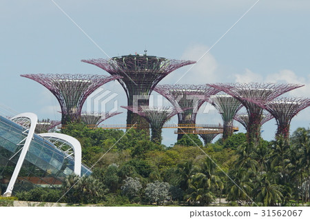 天空樹 31562067
