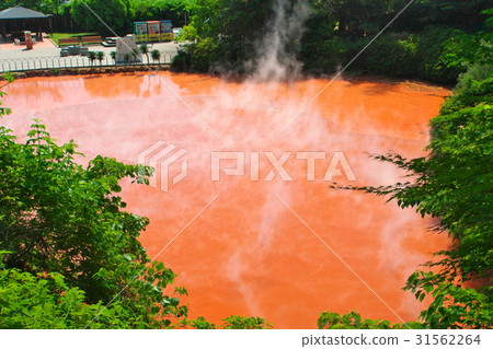 別府溫泉血池地獄 別府溫泉血池地獄 31562264