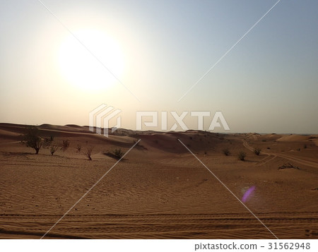 Dubai United Arab Emirates Desert UAE Desert Safari Desert Tour Dubai United Arab Emirates Desert UAE Desert Safari Desert Tour 31562948