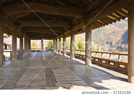 Gyeongbuk安東市Hahoe村 Gyeongbuk安東市Hahoe村 31563286