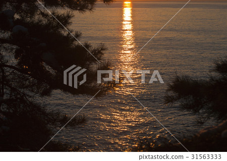 Hajwald, Yangyang-gun, Gangwon-do Hajwald, Yangyang-gun, Gangwon-do 31563333