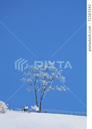 Daegwallyeong, Pyeongchang-gun, Gangwon-do 31563342