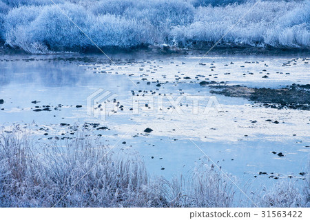 Soyang River, Chuncheon City, Gangwon Province 31563422