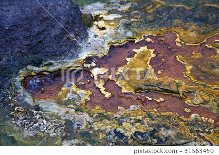 Hot spring, Baekdu Mountain, Jilin Province, China Hot spring, Baekdu Mountain, Jilin Province, China 31563450