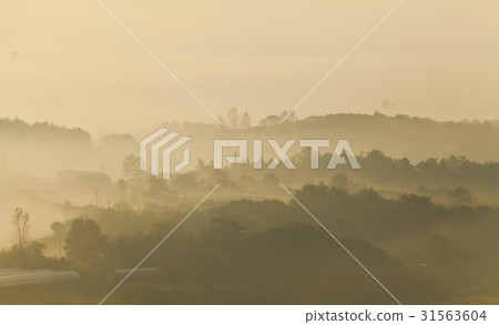 Hampyeong-gun, Jeonnam 31563604
