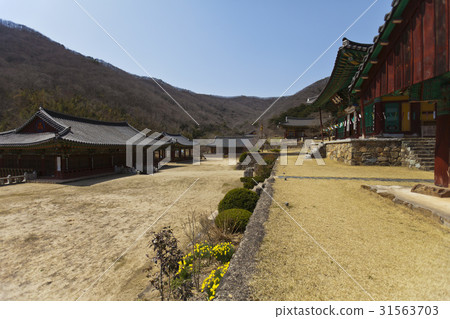 Unjuju (Treasure No. 312), Hwasun-gun, Jeonnam 31563703