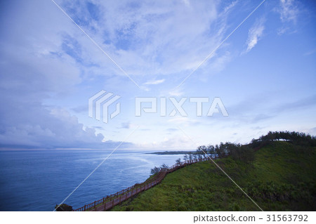 濟州島西歸浦市 濟州島西歸浦市 31563792