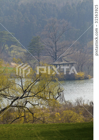 Yongji, Seosan, Chungnam Yongji, Seosan, Chungnam 31563925