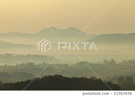 Hampyeong-gun, Jeonnam 31563938