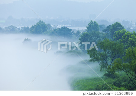 Soyang River, Chuncheon City, Gangwon Province 31563999