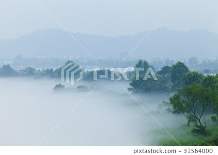 江原道春川市邵陽河 31564000