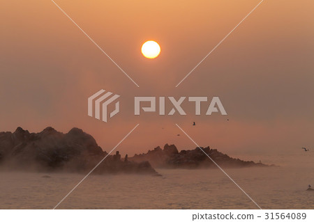 慶州市慶州市慶州文武邦（歷史遺址158號） 31564089