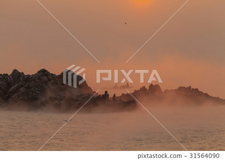 慶州市慶州市慶州文武邦（歷史遺址158號） 31564090