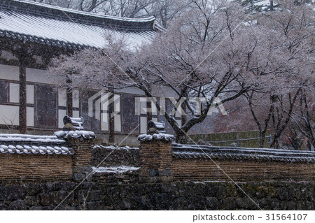 Magung，Gongju，Chungnam 31564107