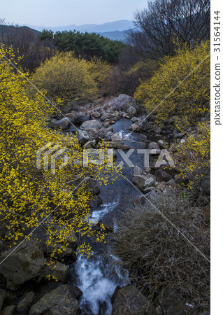 山東石油,山東,求禮郡,全南 山東石油,山東,求禮郡,全南 31564144