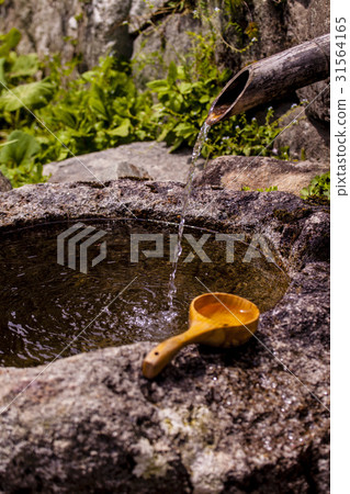 陽光，順天，全南 31564165