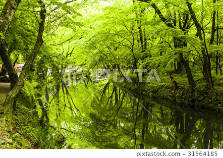 Doosung, Seununsa, Seonwoon, Gochang, Gunbuk Doosung, Seununsa, Seonwoon, Gochang, Gunbuk 31564185