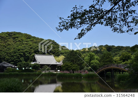六月的猶大神廟 六月的猶大神廟 31564248