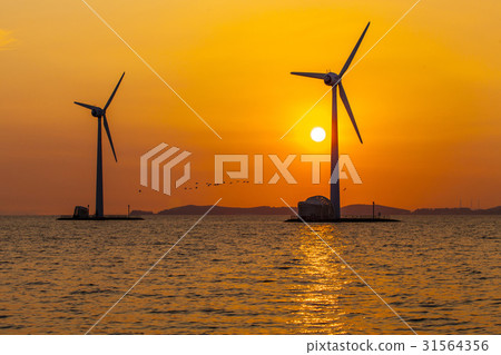Turbine, Daebudo, Ansan, Gyeonggi-do 31564356