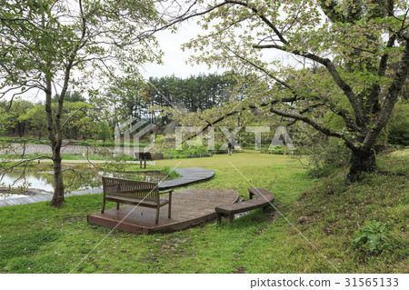 Bench, Chilipo Arboretum, Taean-gun, Chungnam 31565133