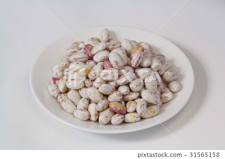 kidney bean 31565158