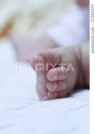 降調 降調 31565474