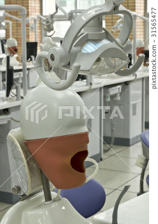 Seoul National University Graduate School of Dentistry, Jongno-gu, Seoul 31565477