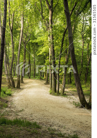 Seo-Angung, Goyang-si, Gyeonggi-do 31565505