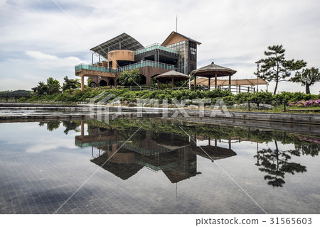Yeoljeon, Sorae Wetland Ecological Park, Namdong-gu, Incheon 31565603