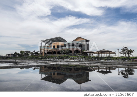 Yeoljeon, Sorae Wetland Ecological Park, Namdong-gu, Incheon 31565607
