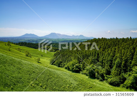 甘遂村Higotai公園 31565609