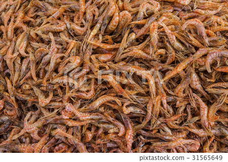 shrimp 31565649