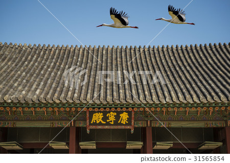 首爾鐘路區景福宮的鸛角,景福宮(117號遺址) 首爾鐘路區景福宮的鸛角,景福宮(117號遺址) 31565854