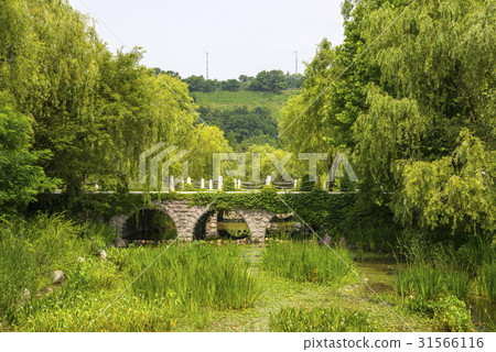 Peace Park, World Cup Park, Sangam-dong, Mapo-gu, Seoul 31566116