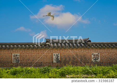 Egret, Hoam Art Museum, Yongin-si, Gyeonggi-do 31566187