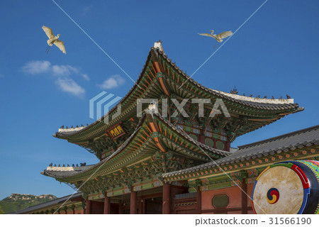 Egret, Temple of Heaven, Gyeongbok Palace, Gyeongbokgung Palace (Historic Site No. 117), Jongno-gu, Seoul Egret, Temple of Heaven, Gyeongbok Palace, Gyeongbokgung Palace (Historic Site No. 117), Jongno-gu, Seoul 31566190