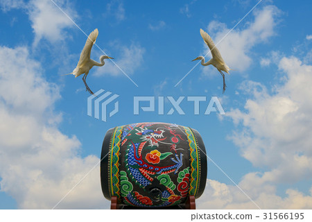 白鷺，法律，首爾 31566195